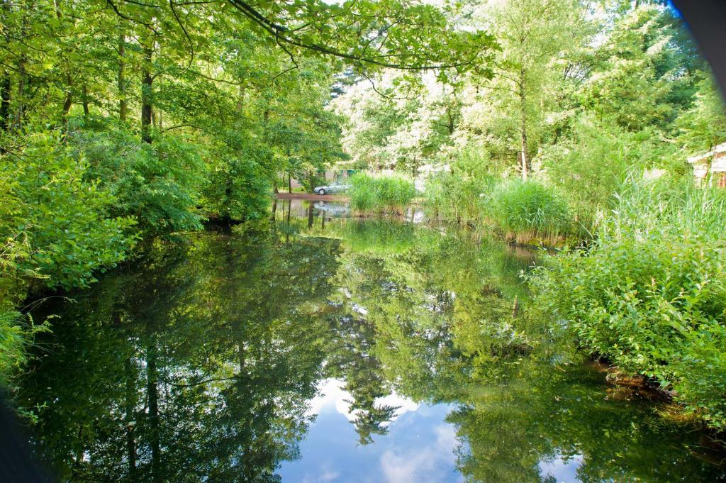Vakantiepark De Berkenhorst Kootwijk Exteriör bild